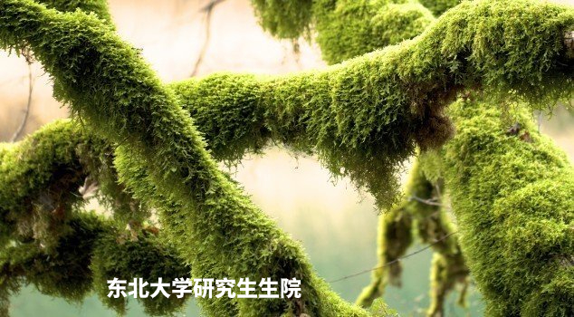 东北大学研究生生院 .jpg
