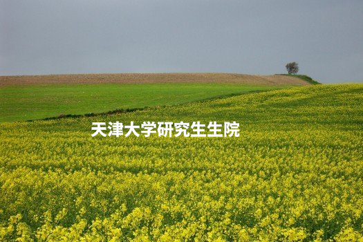 天津大学研究生生院 .jpg