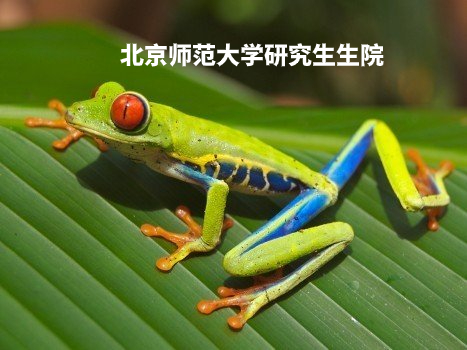 北京师范大学研究生生院 .jpg