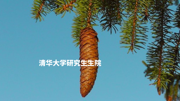 清华大学研究生生院 .jpg