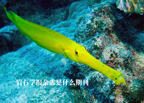 岩石学报杂志是什么期刊 .jpg