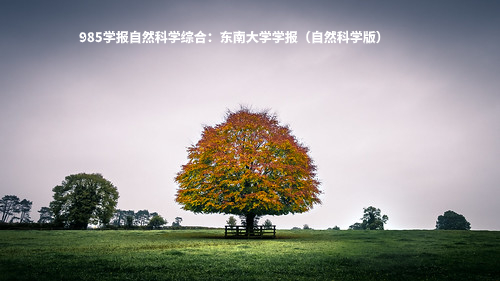 985学报自然科学综合：东南大学学报（自然科学版） .jpg