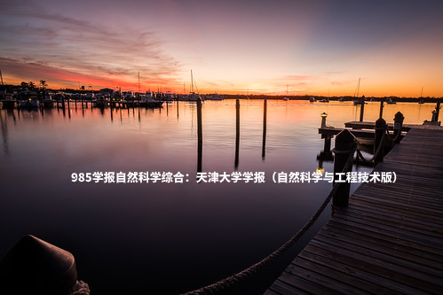 985学报自然科学综合：天津大学学报（自然科学与工程技术版） .jpg