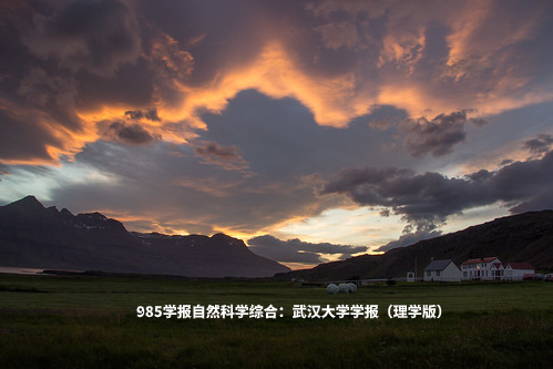 985学报自然科学综合：武汉大学学报（理学版） .jpg