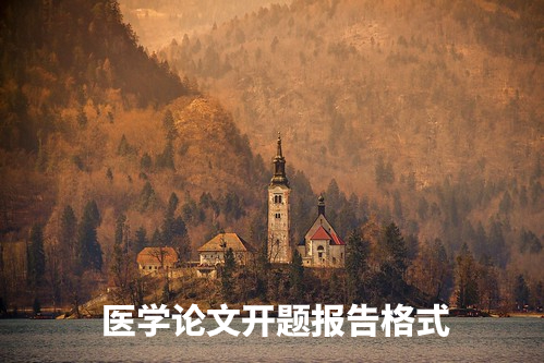 医学论文开题报告格式 .jpg