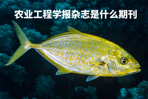 农业工程学报杂志是什么期刊 .jpg