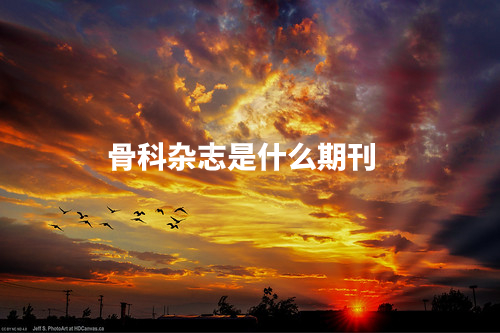 骨科杂志是什么期刊 .jpg