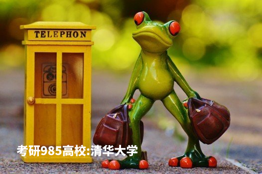 考研985高校：清华大学 .jpg