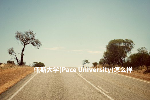 佩斯大学(Pace University)怎么样 .jpg
