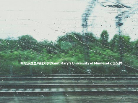 明尼苏达圣玛丽大学(Saint Mary's University of Minnesota)怎么样 .jpg
