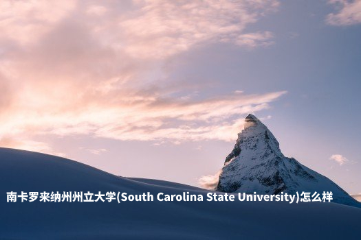 南卡罗来纳州州立大学(South Carolina State University)怎么样 .jpg