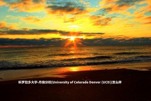 科罗拉多大学-丹佛分校(University of Colorado Denver (UCD))怎么样 (1).jpg