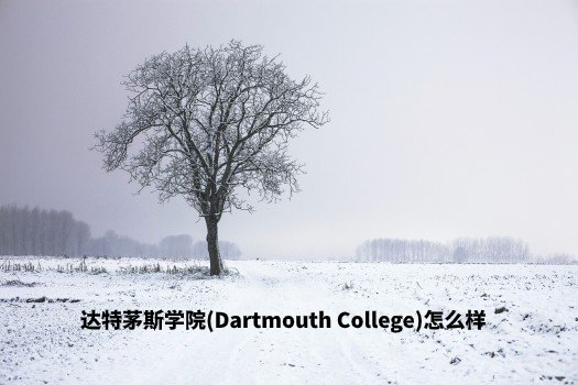 达特茅斯学院(Dartmouth College)怎么样 .jpg
