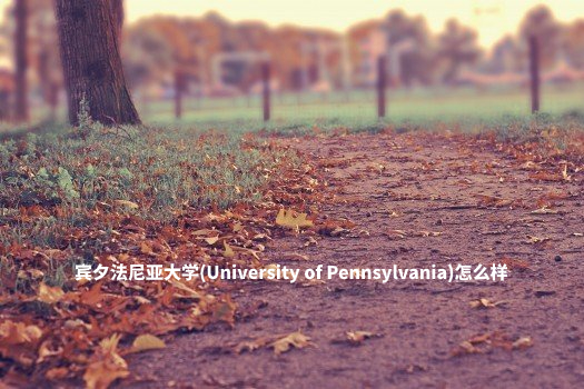 宾夕法尼亚大学(University of Pennsylvania)怎么样 .jpg
