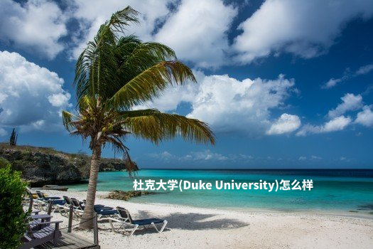杜克大学(Duke University)怎么样 .jpg