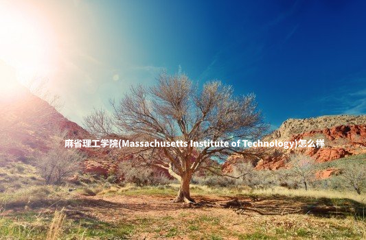 麻省理工学院(Massachusetts Institute of Technology)怎么样 .jpg