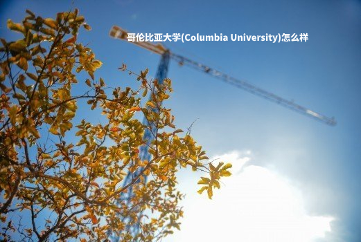 哥伦比亚大学(Columbia University)怎么样 .jpg