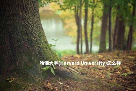 哈佛大学(Harvard University)怎么样 .jpg