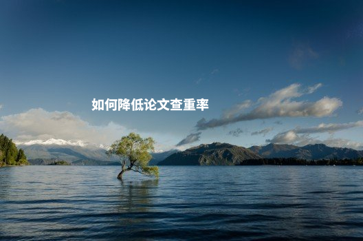 如何降低论文查重率 .jpg