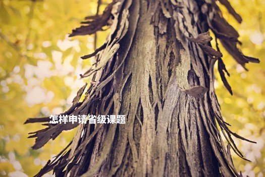 怎样申请省级课题 .jpg