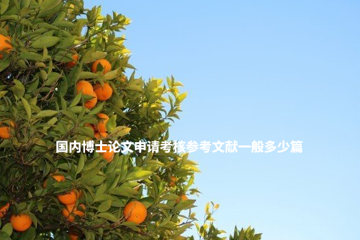 国内博士论文申请考核参考文献一般多少篇 .jpg