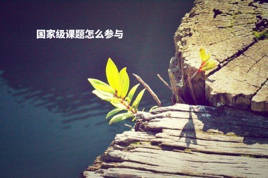 国家级课题怎么参与 .jpg