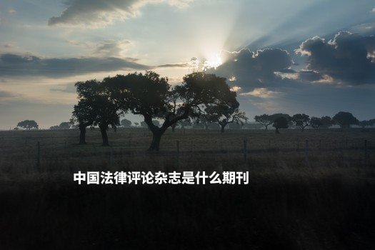 中国法律评论杂志是什么期刊 .jpg