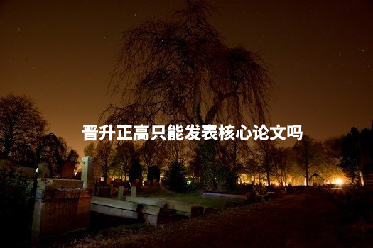 晋升正高只能发表核心论文吗 .jpg