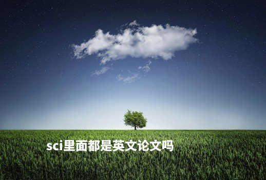 sci里面都是英文论文吗 .jpg