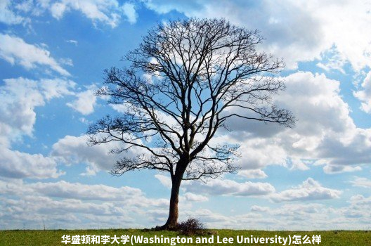 华盛顿和李大学(Washington and Lee University)怎么样 .jpg