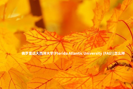 佛罗里达大西洋大学(Florida Atlantic University (FAU))怎么样 .jpg
