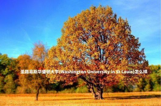 圣路易斯华盛顿大学(Washington University in St Louis)怎么样 .jpg