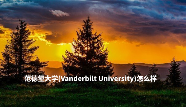 范德堡大学(Vanderbilt University)怎么样 .jpg