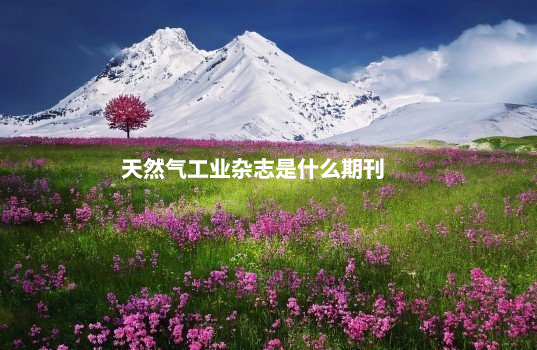 天然气工业杂志是什么期刊 .jpg