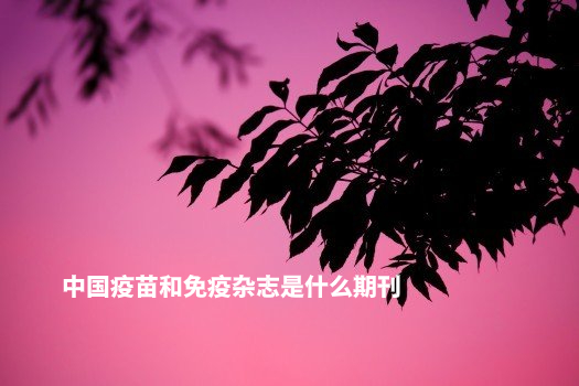 中国疫苗和免疫杂志是什么期刊 .jpg