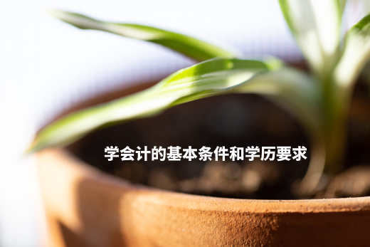 学会计的基本条件和学历要求 .jpg