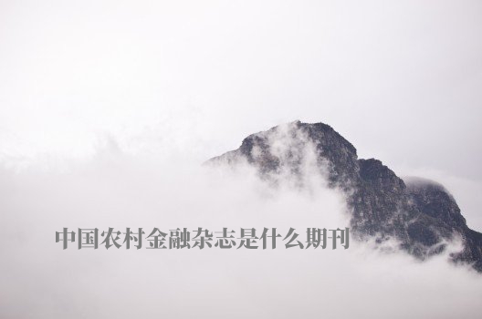 中国农村金融杂志是什么期刊 .jpg