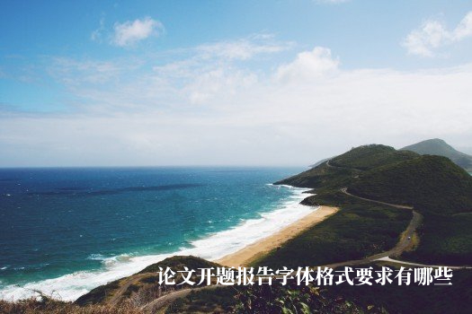 论文开题报告字体格式要求有哪些 .jpg