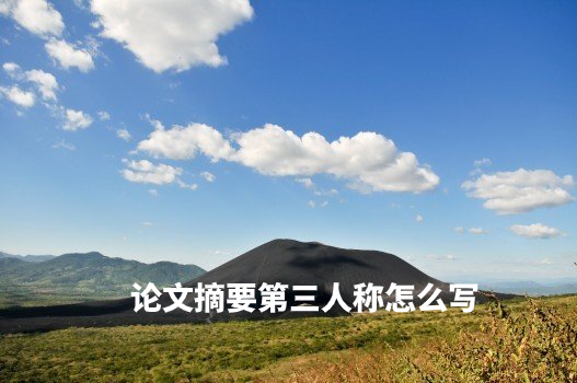 论文摘要第三人称怎么写 .jpg