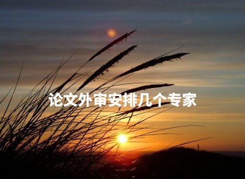 论文外审安排几个专家 .jpg