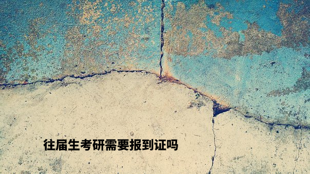 往届生考研需要报到证吗 .jpg