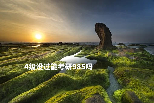 4级没过能考研985吗.jpg