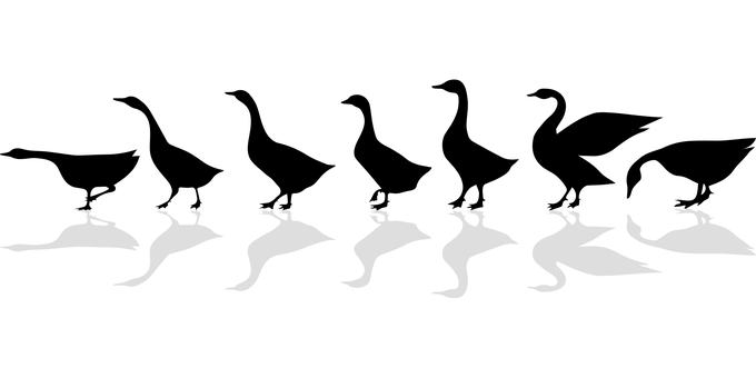 力学进展杂志是什么期刊.jpg