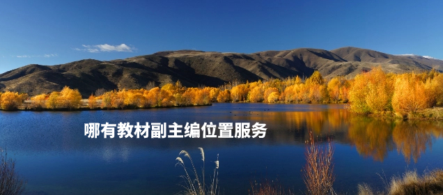 哪有教材副主编位置服务.jpg
