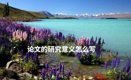 论文的研究意义怎么写 .jpg