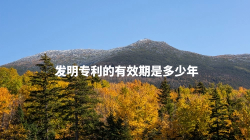 发明专利的有效期是多少年.jpg