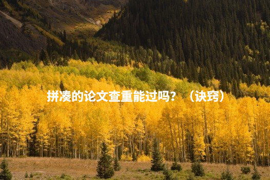 拼凑的论文查重能过吗？（诀窍） .jpg