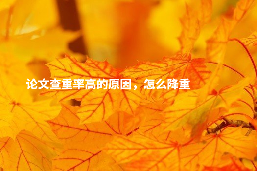 论文查重率高的原因，怎么降重 .jpg