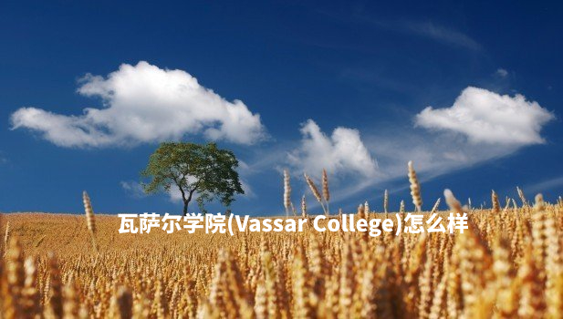 瓦萨尔学院(Vassar College)怎么样 .jpg
