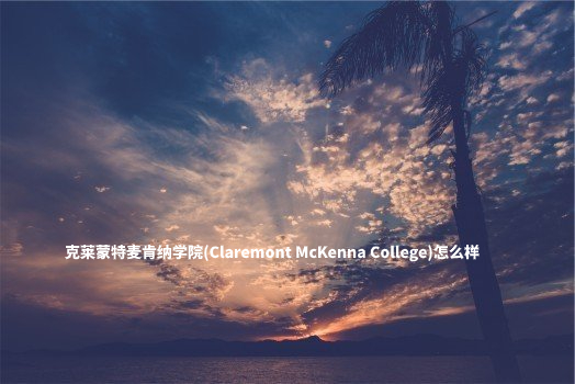 克莱蒙特麦肯纳学院(Claremont McKenna College)怎么样 .jpg